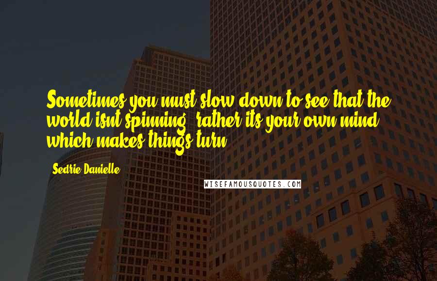 Sedrie Danielle Quotes: Sometimes you must slow down to see that the world isnt spinning, rather its your own mind which makes things turn