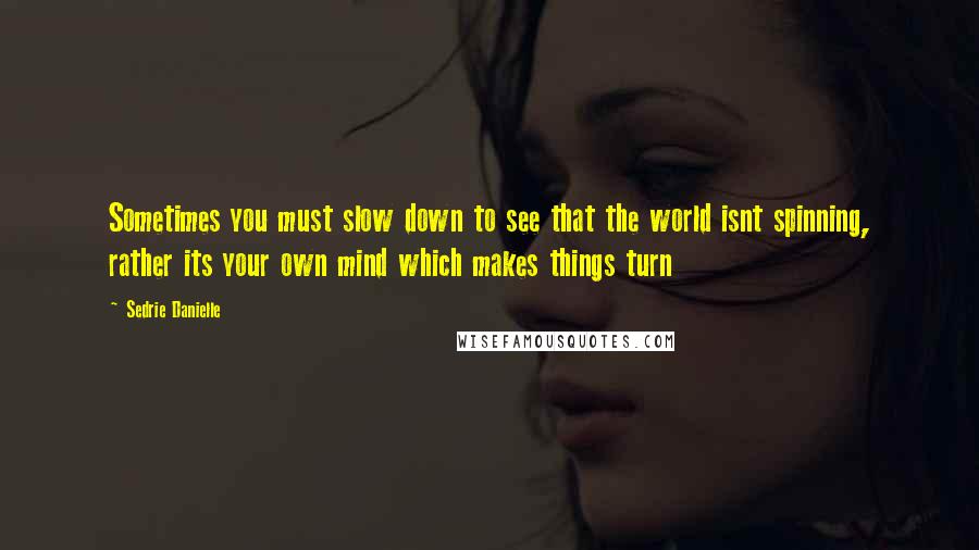 Sedrie Danielle Quotes: Sometimes you must slow down to see that the world isnt spinning, rather its your own mind which makes things turn