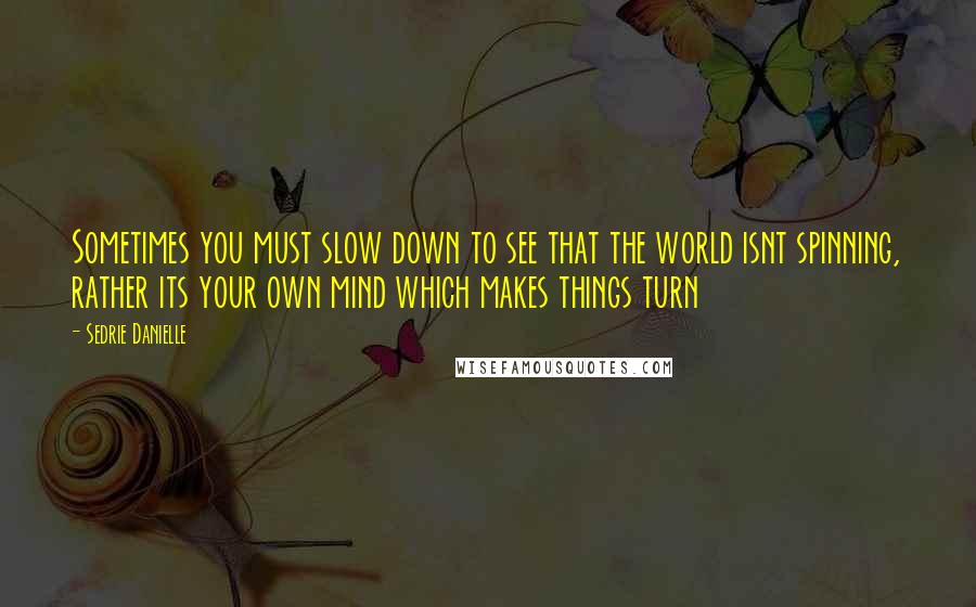 Sedrie Danielle Quotes: Sometimes you must slow down to see that the world isnt spinning, rather its your own mind which makes things turn