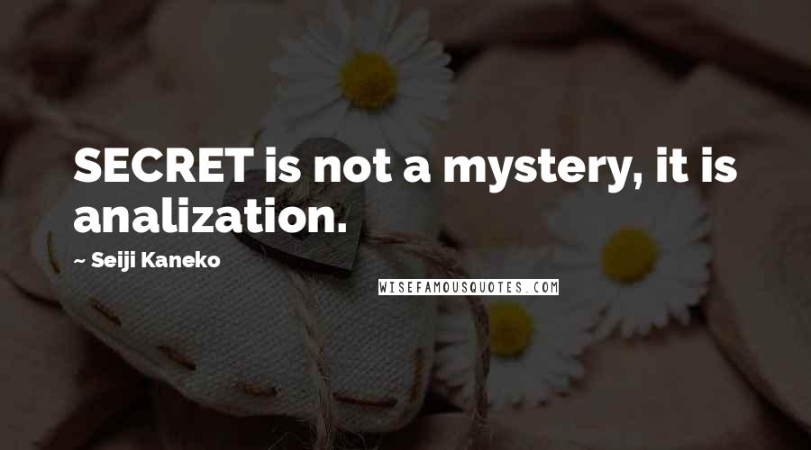 Seiji Kaneko Quotes: SECRET is not a mystery, it is analization.