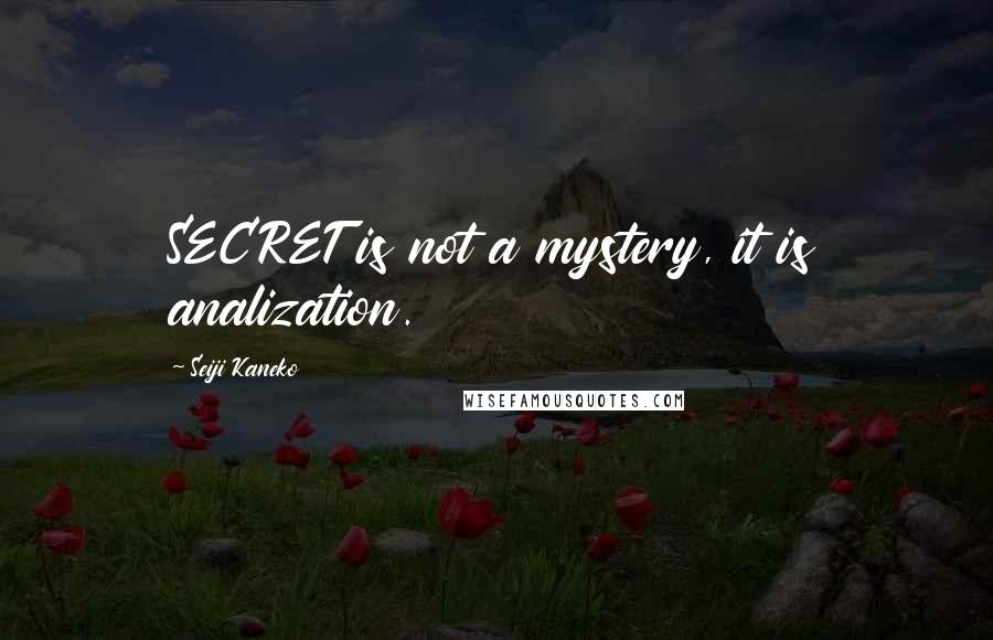 Seiji Kaneko Quotes: SECRET is not a mystery, it is analization.