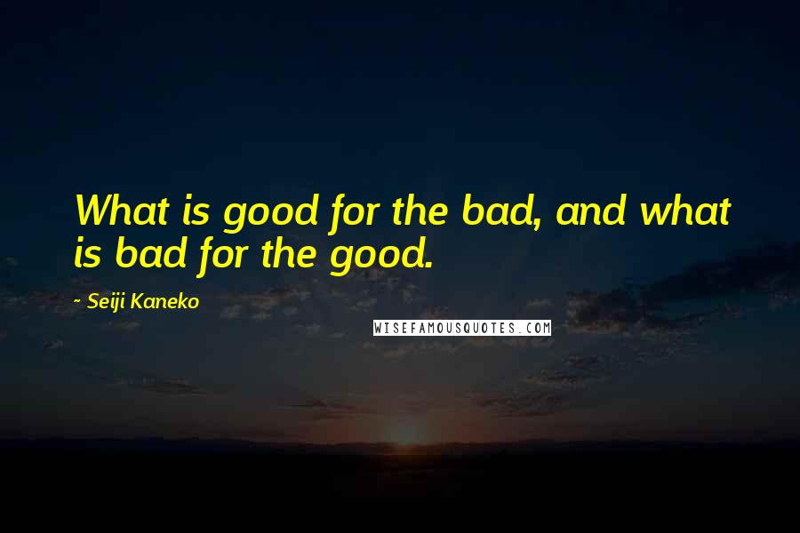 Seiji Kaneko Quotes: What is good for the bad, and what is bad for the good.