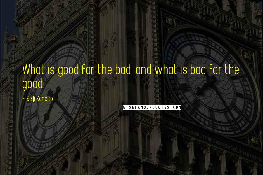 Seiji Kaneko Quotes: What is good for the bad, and what is bad for the good.