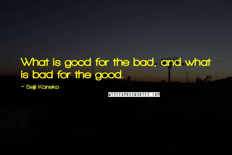 Seiji Kaneko Quotes: What is good for the bad, and what is bad for the good.