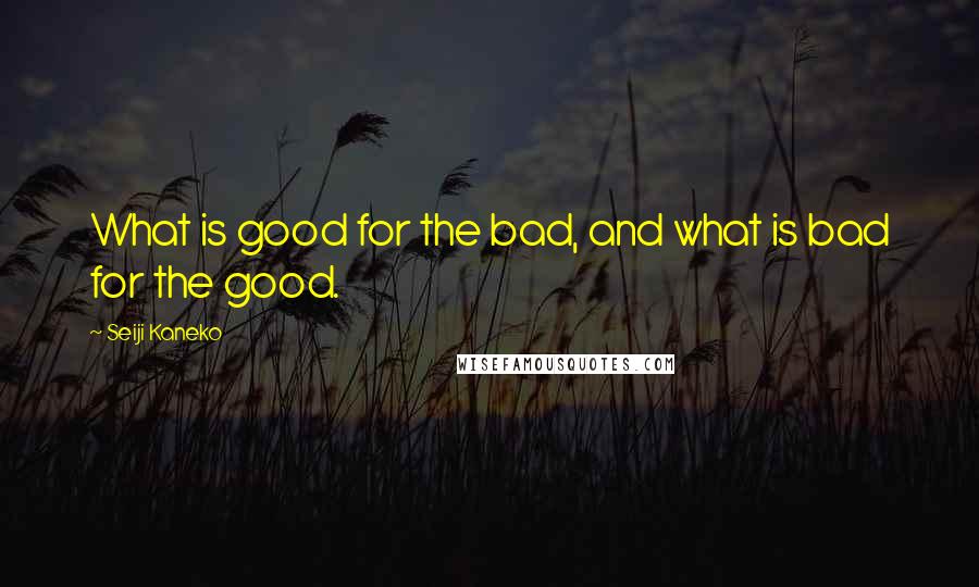 Seiji Kaneko Quotes: What is good for the bad, and what is bad for the good.