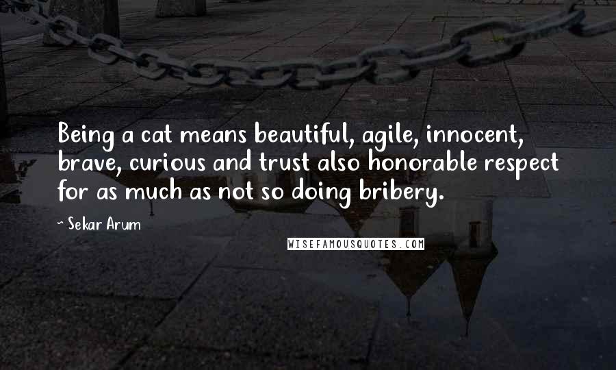 Sekar Arum Quotes: Being a cat means beautiful, agile, innocent, brave, curious and trust also honorable respect for as much as not so doing bribery.