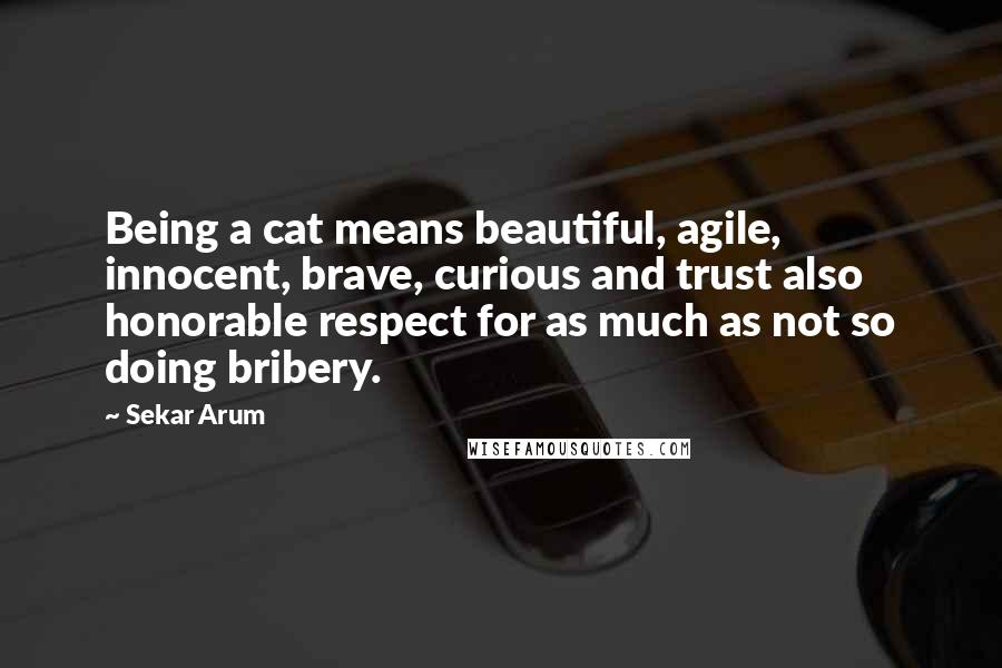 Sekar Arum Quotes: Being a cat means beautiful, agile, innocent, brave, curious and trust also honorable respect for as much as not so doing bribery.