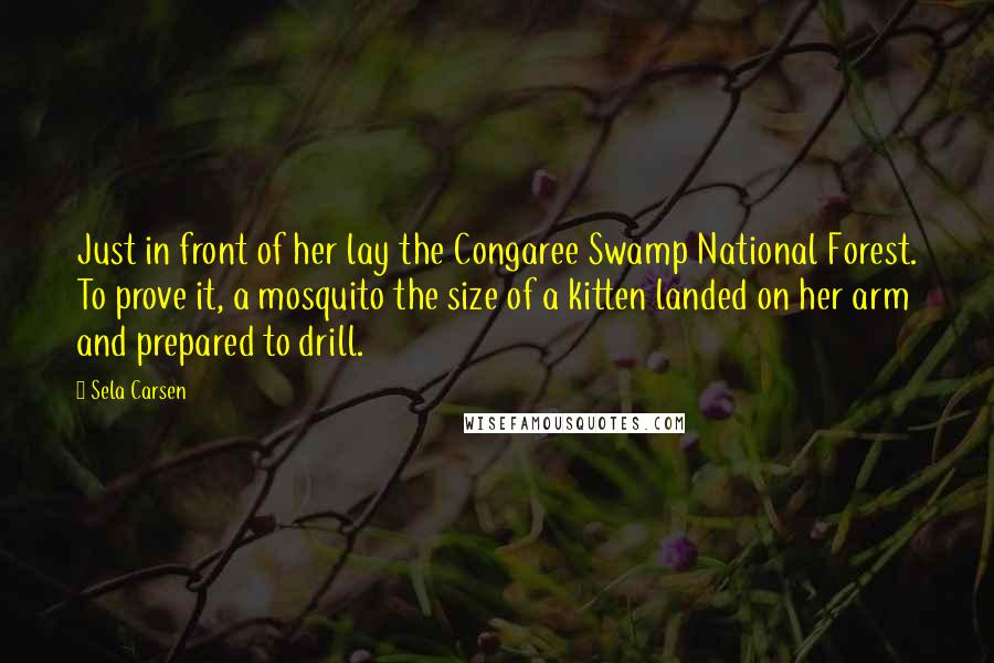 Sela Carsen Quotes: Just in front of her lay the Congaree Swamp National Forest. To prove it, a mosquito the size of a kitten landed on her arm and prepared to drill.