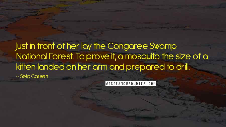 Sela Carsen Quotes: Just in front of her lay the Congaree Swamp National Forest. To prove it, a mosquito the size of a kitten landed on her arm and prepared to drill.