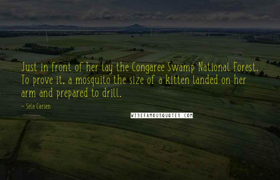 Sela Carsen Quotes: Just in front of her lay the Congaree Swamp National Forest. To prove it, a mosquito the size of a kitten landed on her arm and prepared to drill.