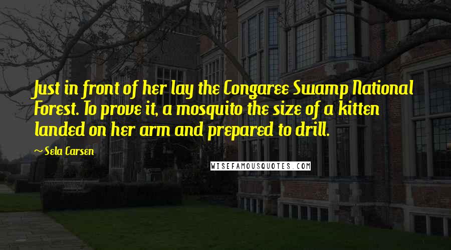 Sela Carsen Quotes: Just in front of her lay the Congaree Swamp National Forest. To prove it, a mosquito the size of a kitten landed on her arm and prepared to drill.