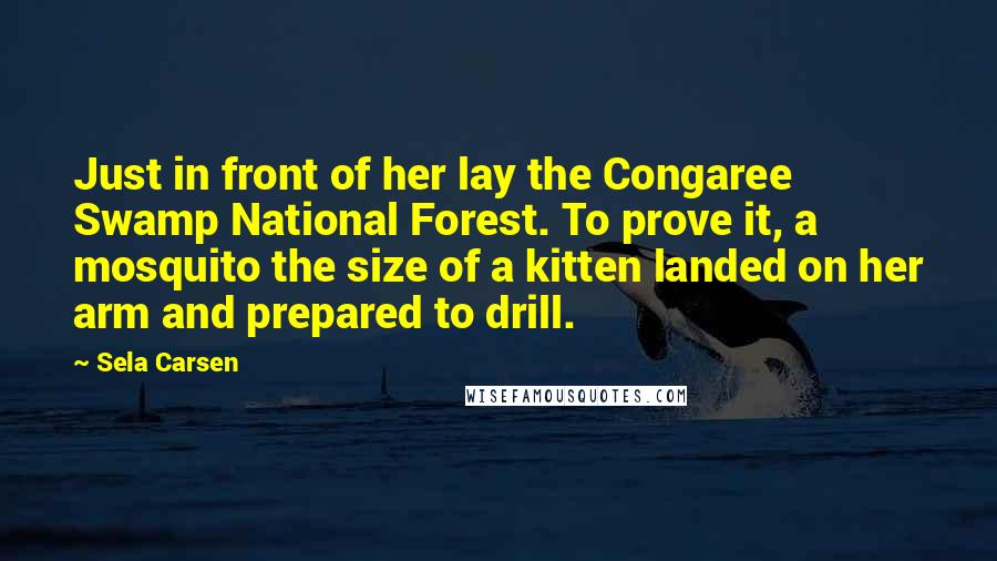 Sela Carsen Quotes: Just in front of her lay the Congaree Swamp National Forest. To prove it, a mosquito the size of a kitten landed on her arm and prepared to drill.