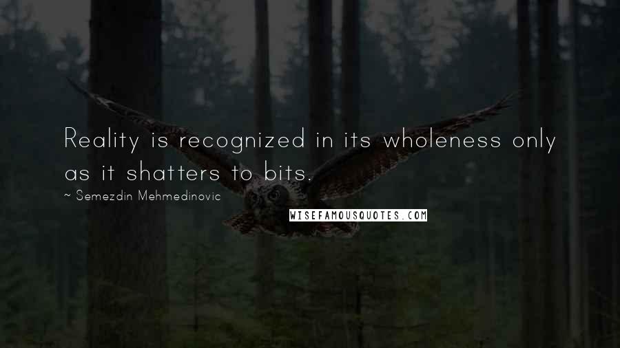 Semezdin Mehmedinovic Quotes: Reality is recognized in its wholeness only as it shatters to bits.