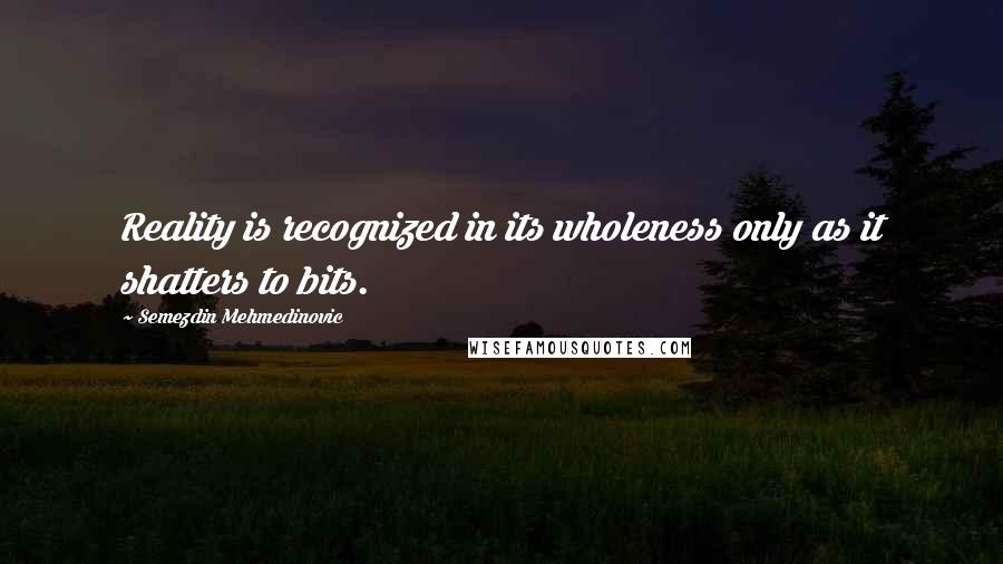 Semezdin Mehmedinovic Quotes: Reality is recognized in its wholeness only as it shatters to bits.