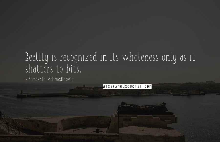 Semezdin Mehmedinovic Quotes: Reality is recognized in its wholeness only as it shatters to bits.