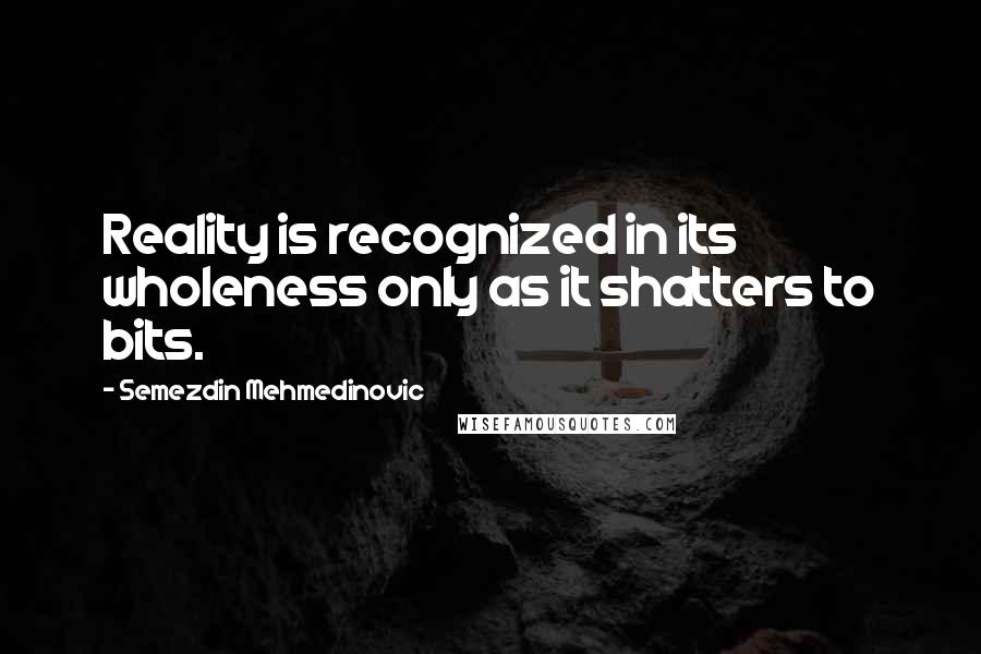 Semezdin Mehmedinovic Quotes: Reality is recognized in its wholeness only as it shatters to bits.