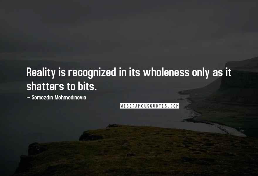 Semezdin Mehmedinovic Quotes: Reality is recognized in its wholeness only as it shatters to bits.