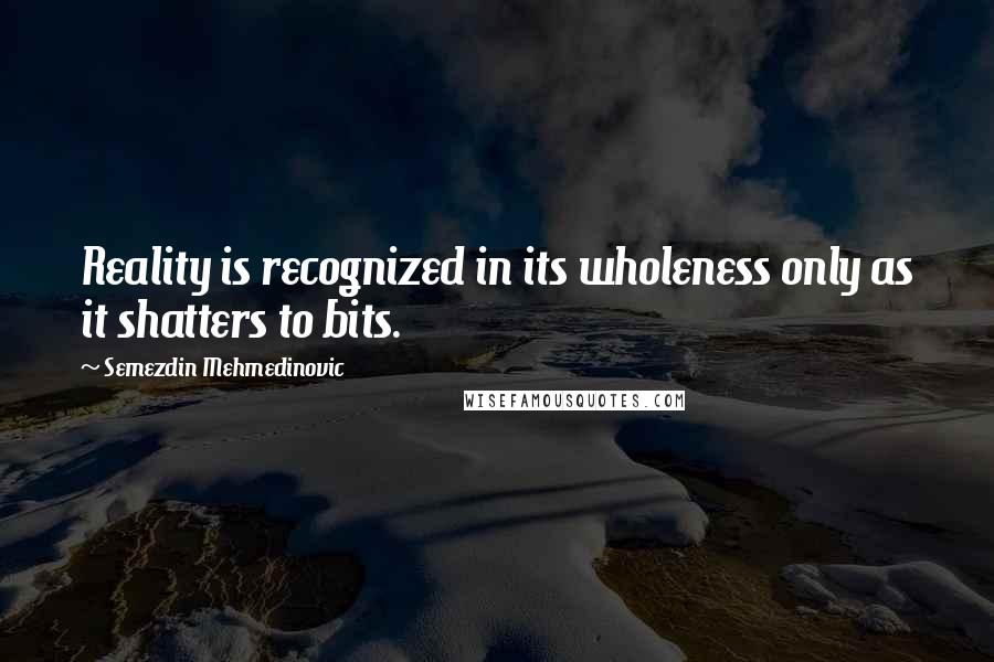 Semezdin Mehmedinovic Quotes: Reality is recognized in its wholeness only as it shatters to bits.