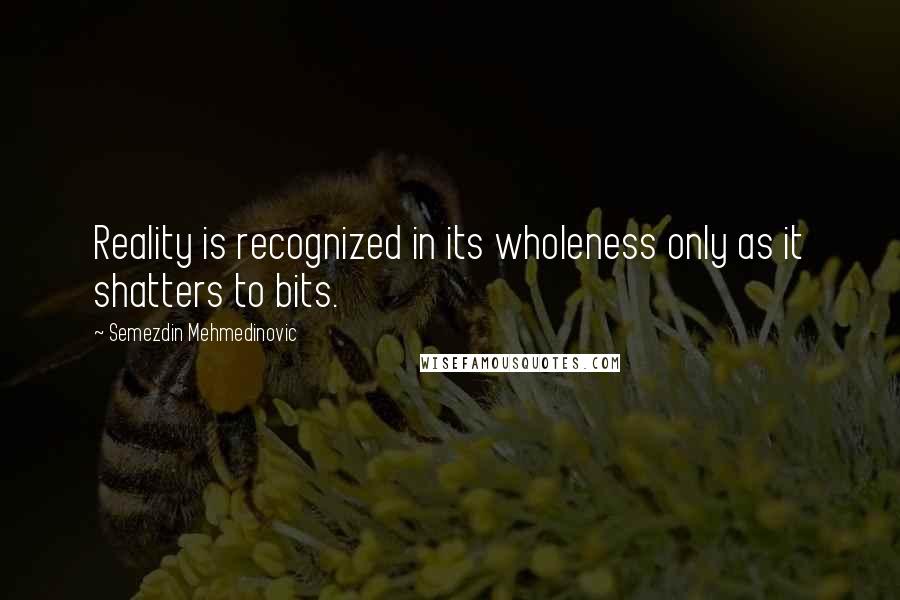 Semezdin Mehmedinovic Quotes: Reality is recognized in its wholeness only as it shatters to bits.