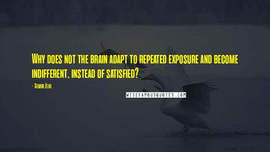 Semir Zeki Quotes: Why does not the brain adapt to repeated exposure and become indifferent, instead of satisfied?