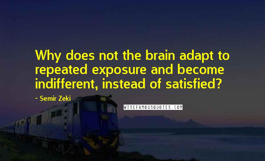 Semir Zeki Quotes: Why does not the brain adapt to repeated exposure and become indifferent, instead of satisfied?