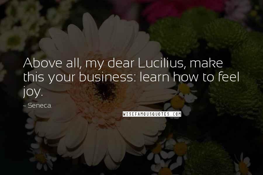 Seneca. Quotes: Above all, my dear Lucilius, make this your business: learn how to feel joy.