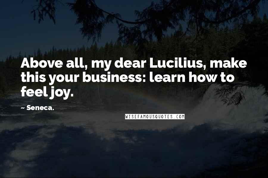 Seneca. Quotes: Above all, my dear Lucilius, make this your business: learn how to feel joy.