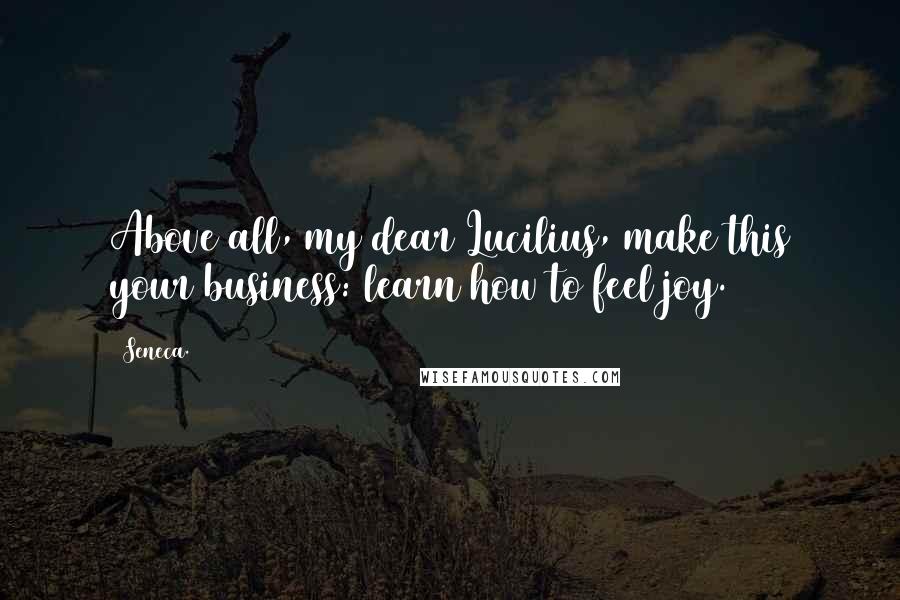 Seneca. Quotes: Above all, my dear Lucilius, make this your business: learn how to feel joy.