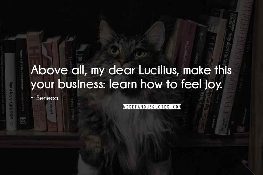 Seneca. Quotes: Above all, my dear Lucilius, make this your business: learn how to feel joy.