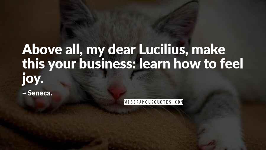 Seneca. Quotes: Above all, my dear Lucilius, make this your business: learn how to feel joy.