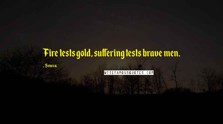 Seneca. Quotes: Fire tests gold, suffering tests brave men.
