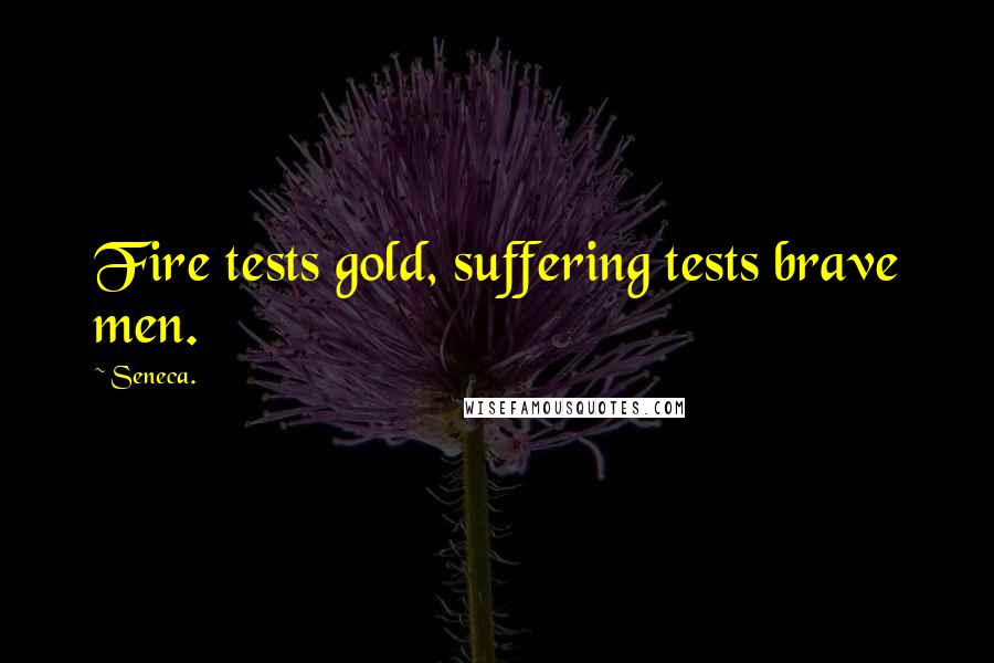 Seneca. Quotes: Fire tests gold, suffering tests brave men.