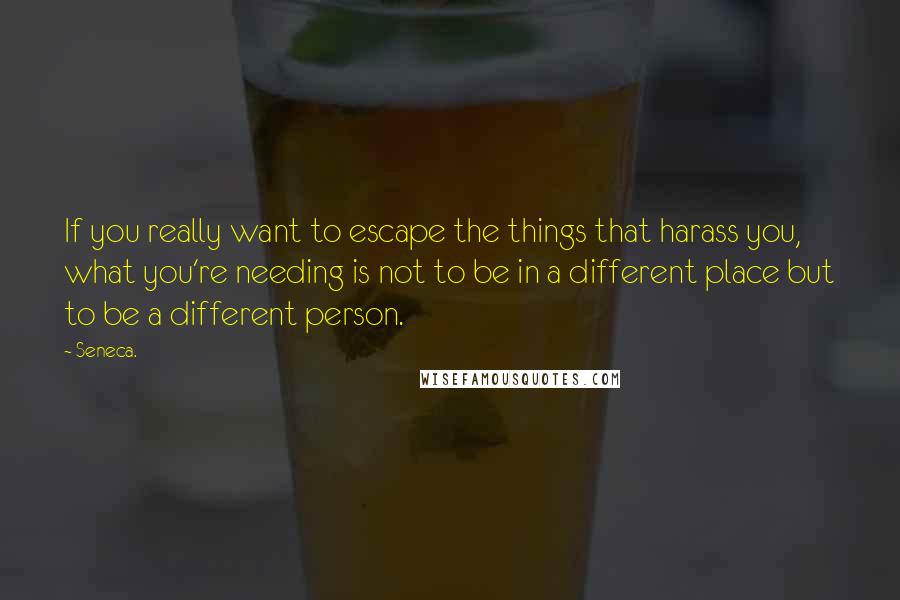 Seneca. Quotes: If you really want to escape the things that harass you, what you're needing is not to be in a different place but to be a different person.