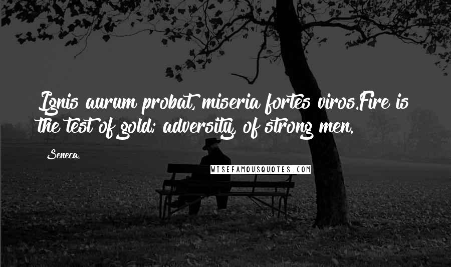 Seneca. Quotes: Ignis aurum probat, miseria fortes viros.Fire is the test of gold; adversity, of strong men.
