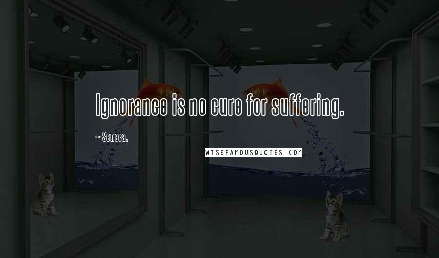 Seneca. Quotes: Ignorance is no cure for suffering.