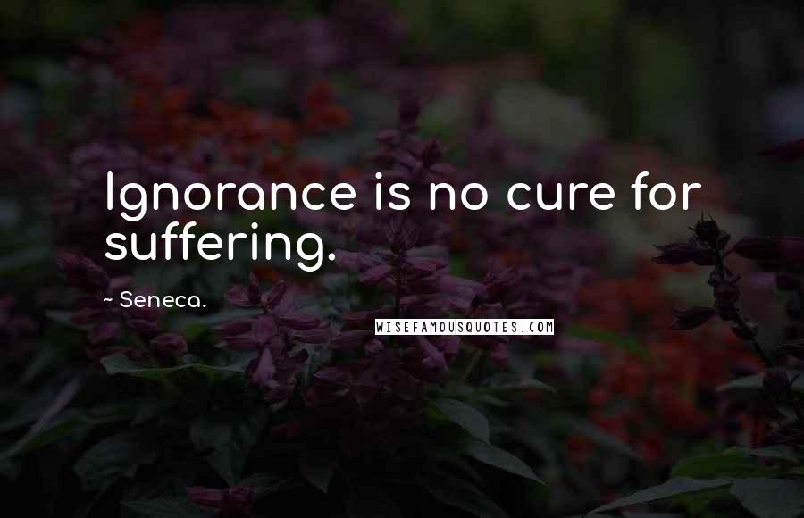 Seneca. Quotes: Ignorance is no cure for suffering.