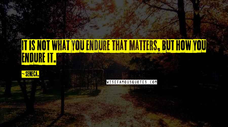 Seneca. Quotes: It is not what you endure that matters, but how you endure it.