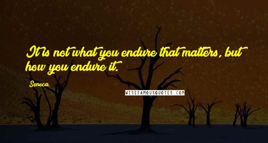 Seneca. Quotes: It is not what you endure that matters, but how you endure it.