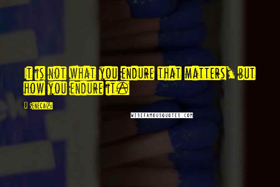 Seneca. Quotes: It is not what you endure that matters, but how you endure it.