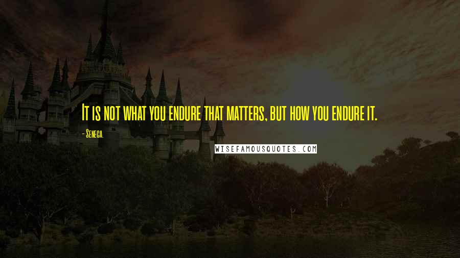 Seneca. Quotes: It is not what you endure that matters, but how you endure it.