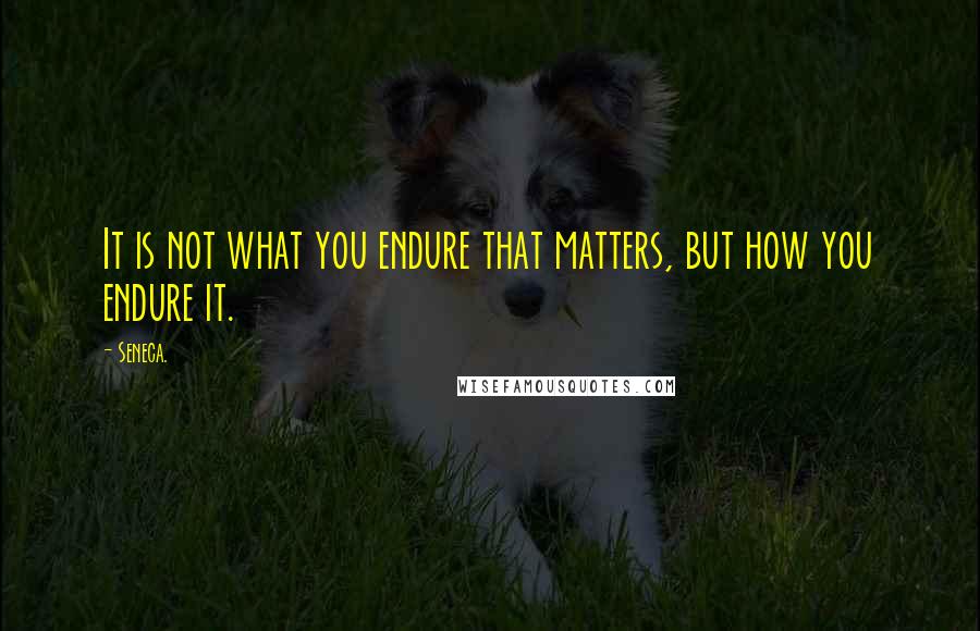 Seneca. Quotes: It is not what you endure that matters, but how you endure it.