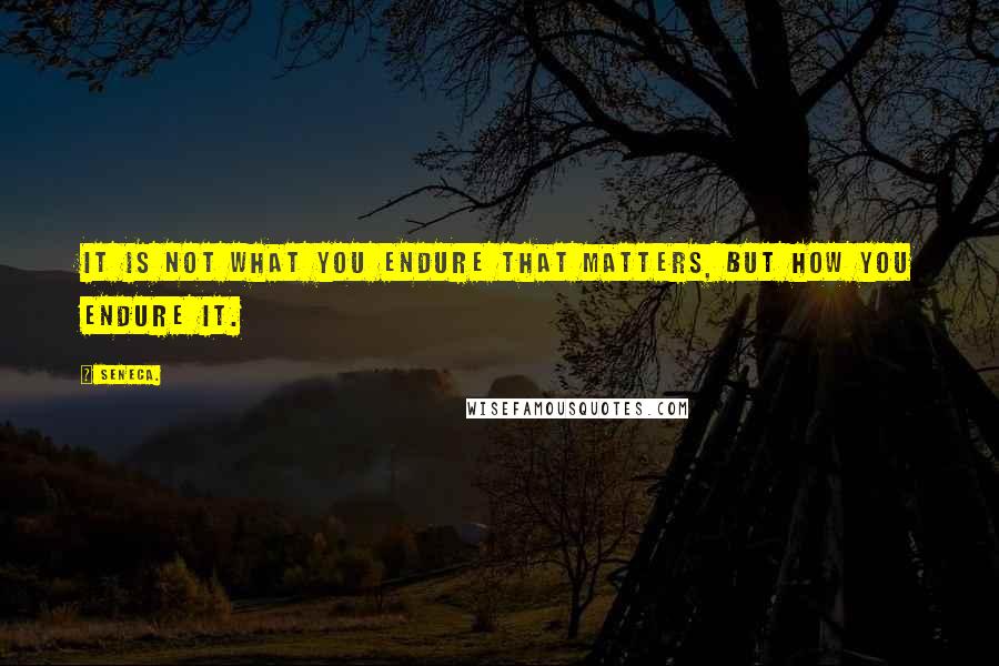Seneca. Quotes: It is not what you endure that matters, but how you endure it.