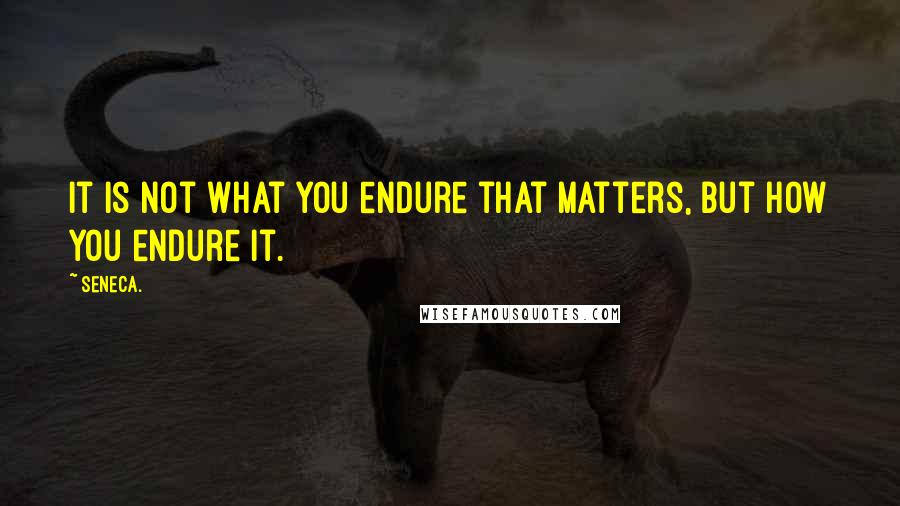 Seneca. Quotes: It is not what you endure that matters, but how you endure it.