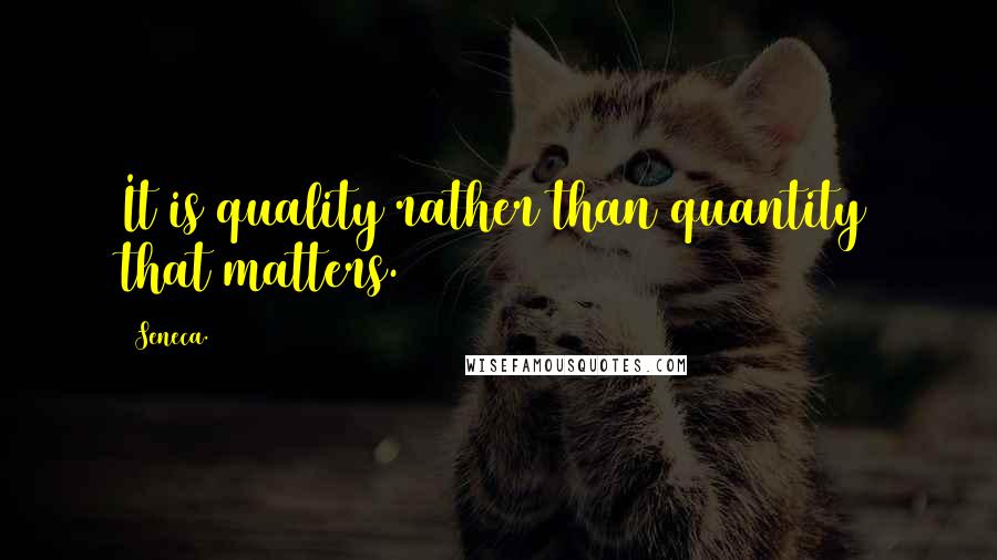 Seneca. Quotes: It is quality rather than quantity that matters.