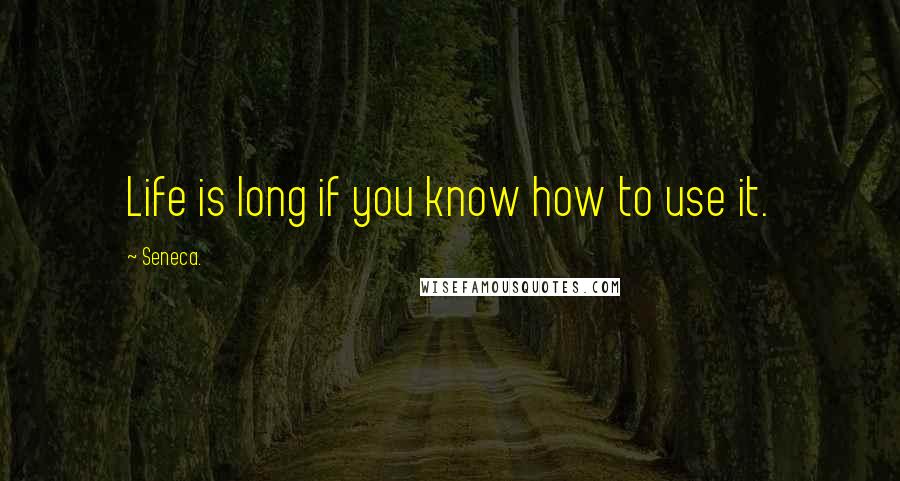 Seneca. Quotes: Life is long if you know how to use it.