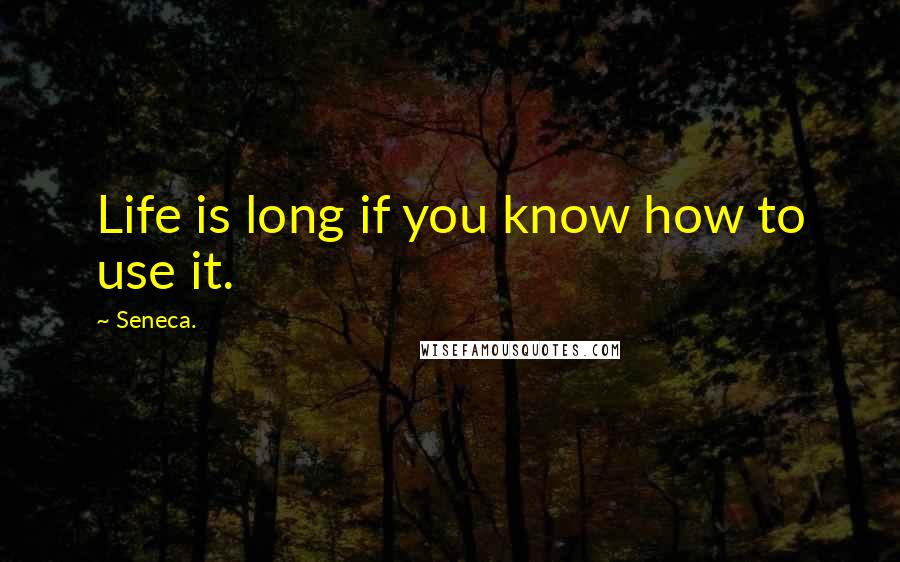 Seneca. Quotes: Life is long if you know how to use it.