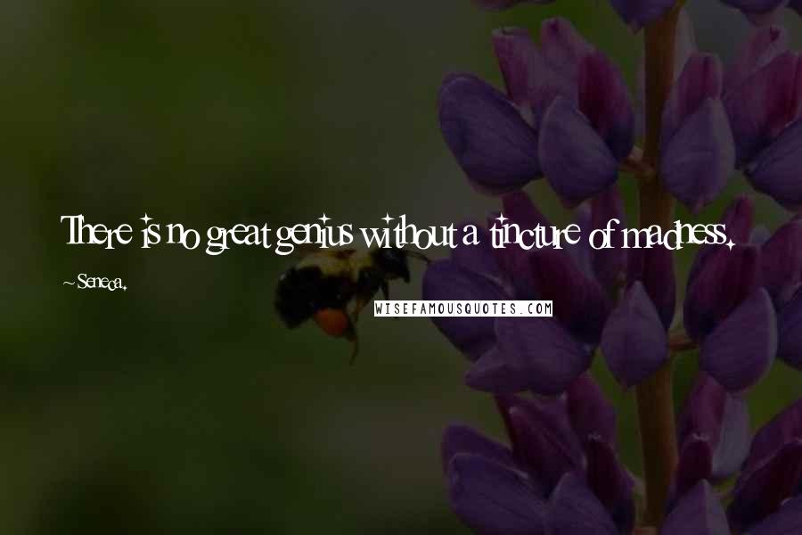 Seneca. Quotes: There is no great genius without a tincture of madness.