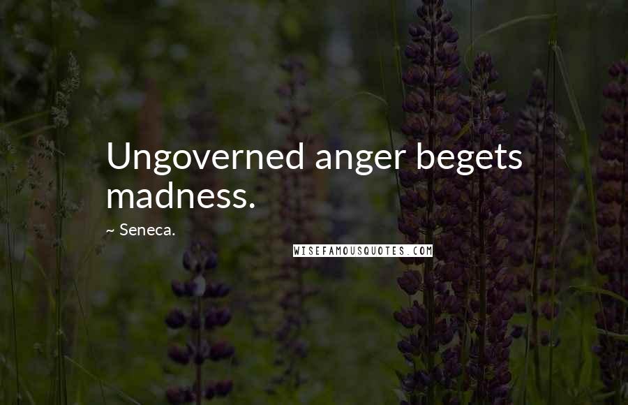 Seneca. Quotes: Ungoverned anger begets madness.