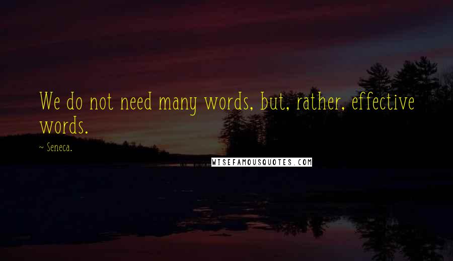 Seneca. Quotes: We do not need many words, but, rather, effective words.
