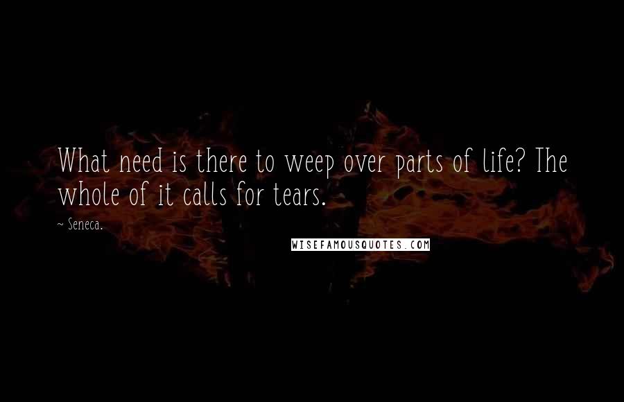 Seneca. Quotes: What need is there to weep over parts of life? The whole of it calls for tears.